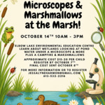Microscopes &amp; Marshmallows at the Marsh 